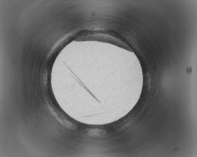 X0000115550400200912181558