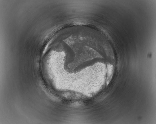 X0000115550402200912181558