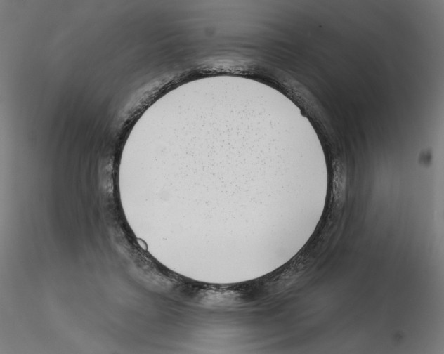 X0000115550403200912181558