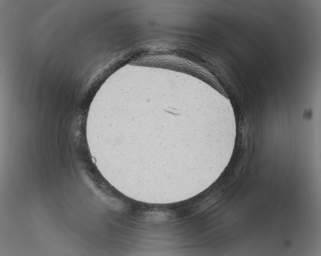 X0000115550404200912181558