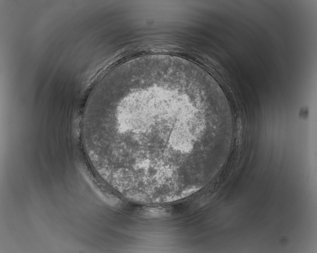 X0000115550405200912181557