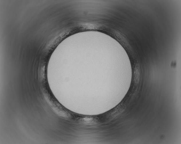 X0000115550406200912181557