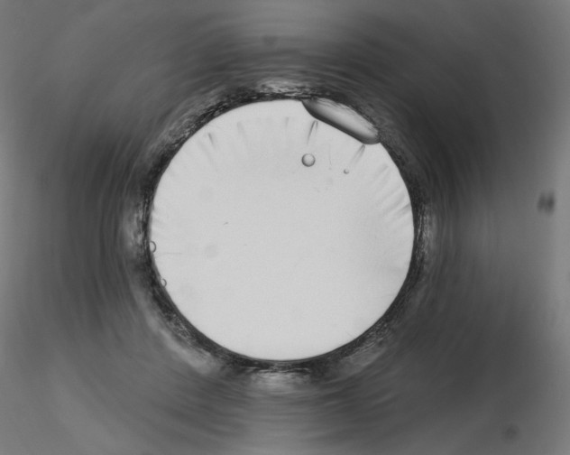 X0000115550408200912181557