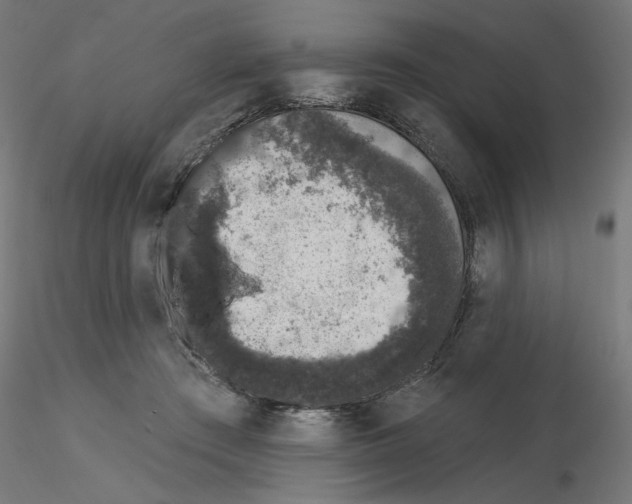 X0000115550409200912181557