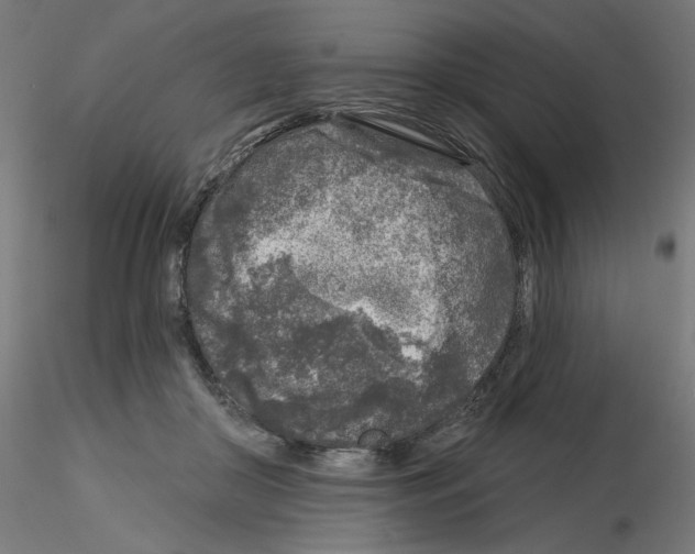 X0000115550410200912181557