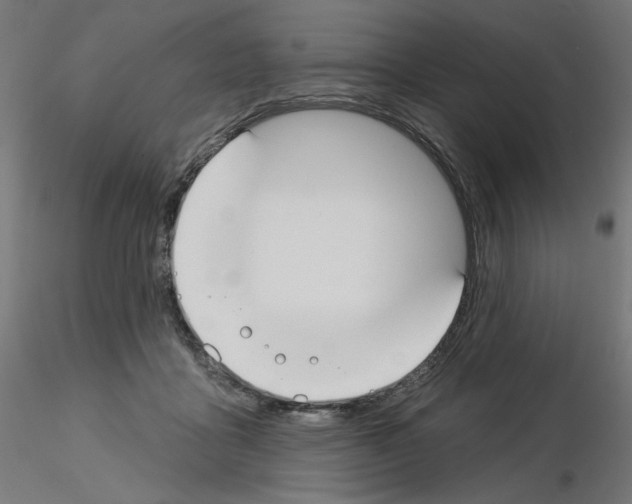 X0000115550411200912181557