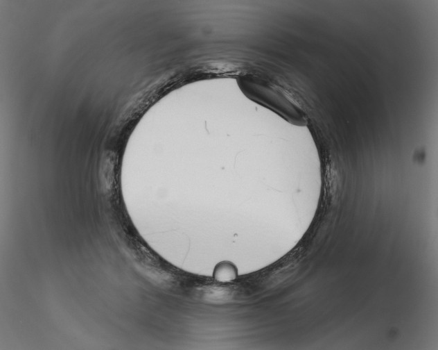 X0000115550412200912181557