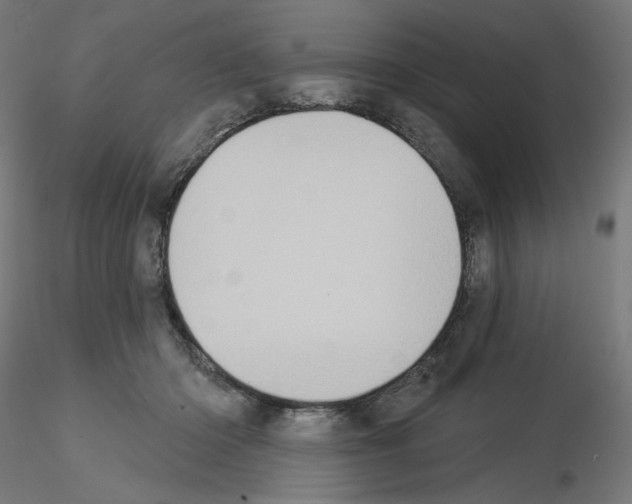 X0000115550414200912181557