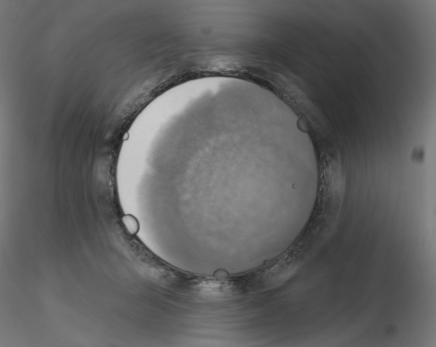 X0000115550415200912181557