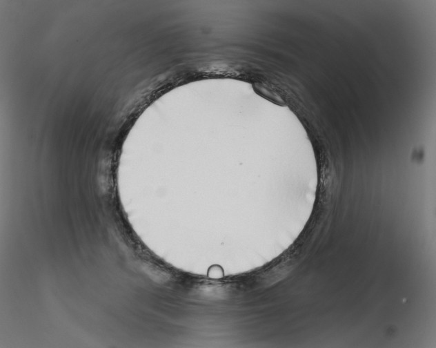 X0000115550416200912181557