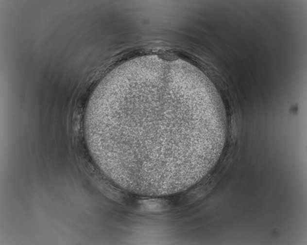 X0000115550417200912181557