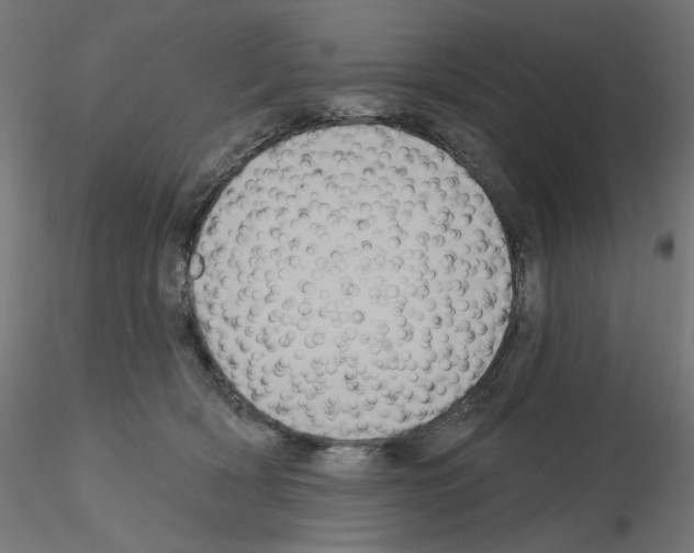 X0000115550418200912181557