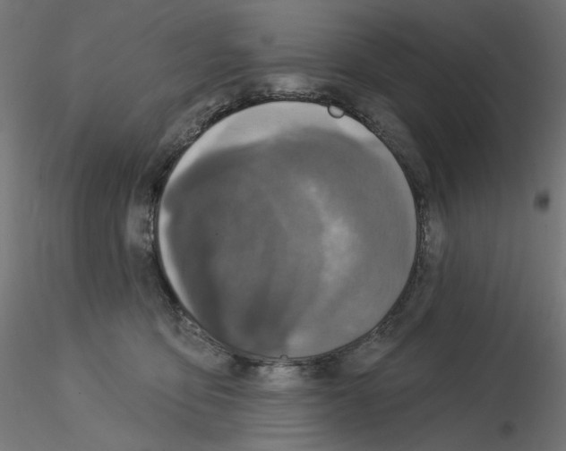 X0000115550419200912181557