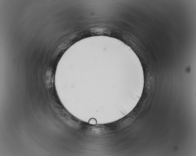 X0000115550420200912181557