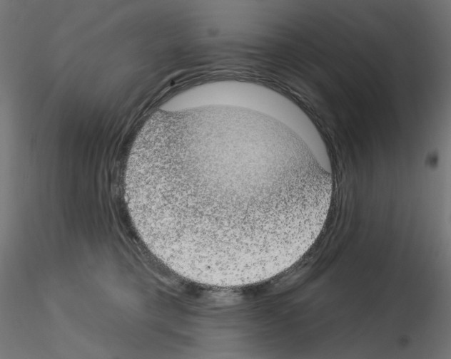 X0000115550421200912181557