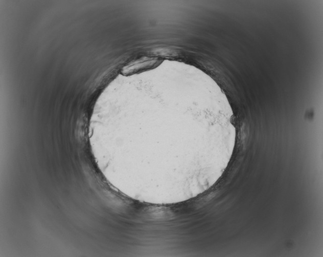 X0000115550424200912181557