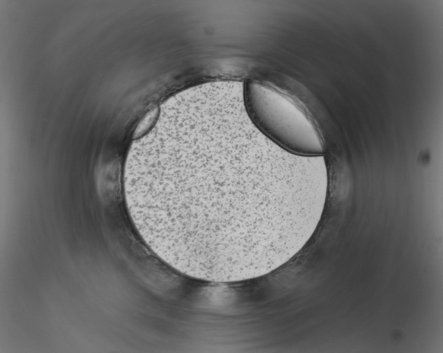 X0000115550425200912181557