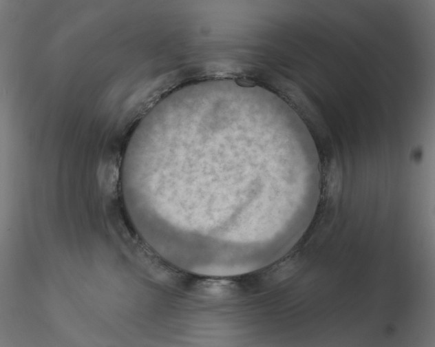 X0000115550427200912181557