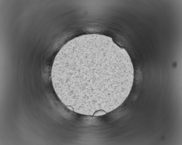 X0000115550428200912181557