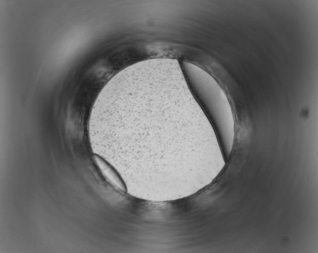 X0000115550429200912181557