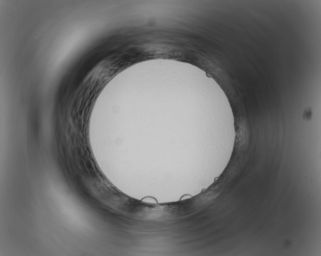 X0000115550430200912181557