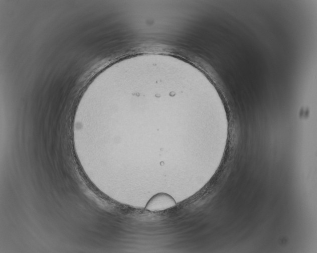 X0000115550433200912181556