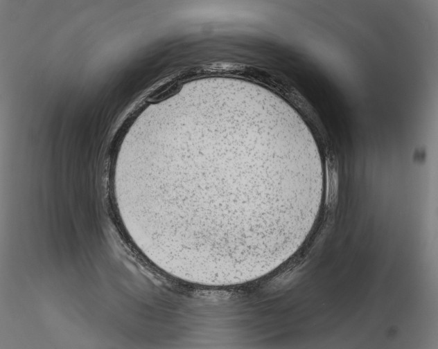 X0000115550435200912181556