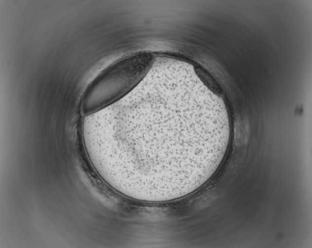 X0000115550436200912181556