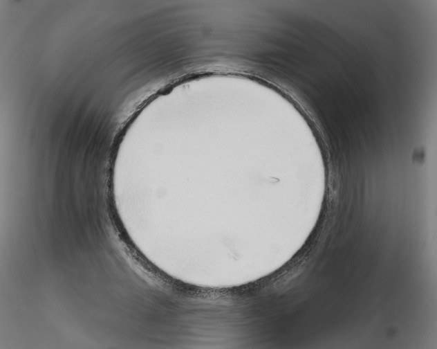 X0000115550437200912181557