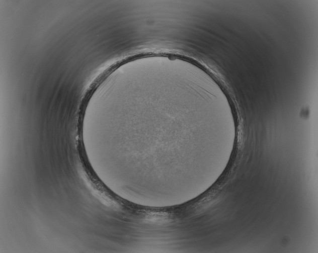 X0000115550438200912181557