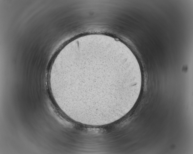 X0000115550439200912181557