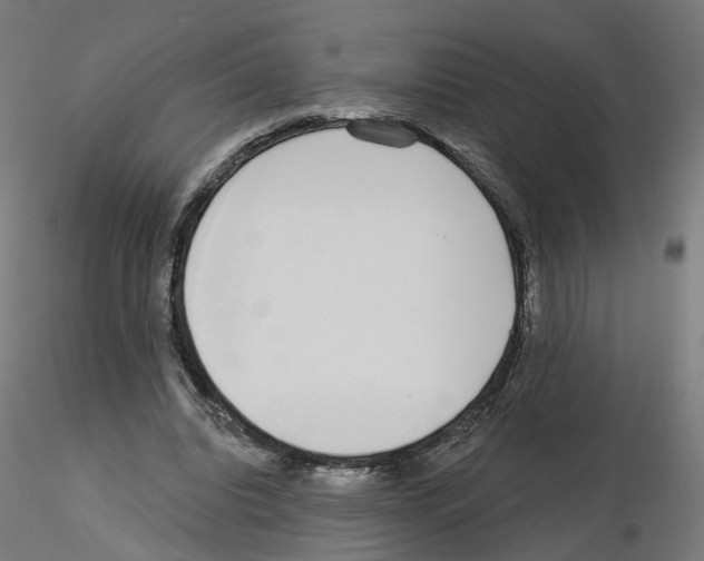 X0000115550440200912181557