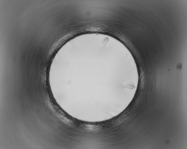 X0000115550442200912181557