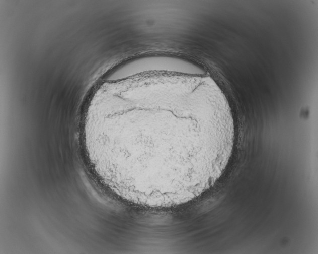 X0000115550443200912181557