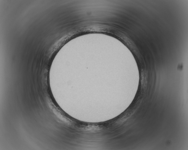 X0000115550445200912181557