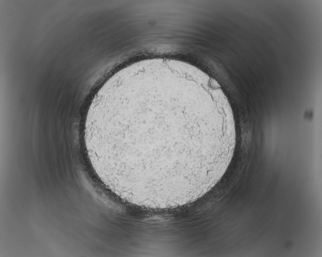 X0000115550447200912181557