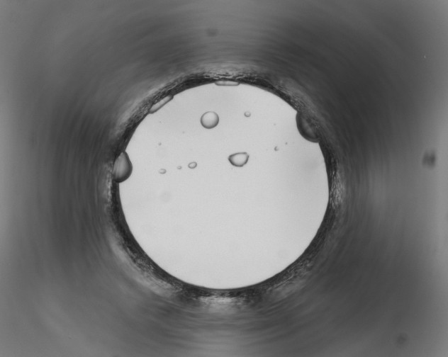 X0000115550448200912181557