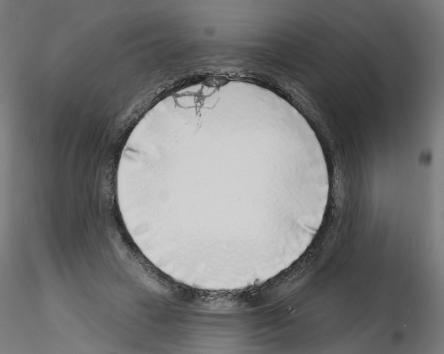 X0000115550449200912181557