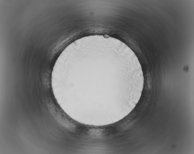 X0000115550450200912181557