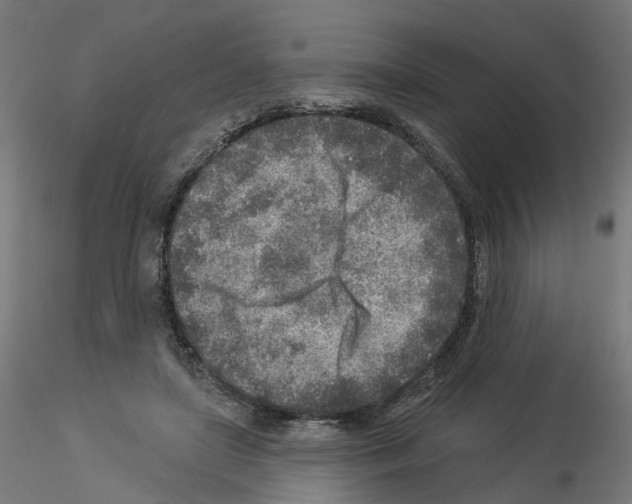 X0000115550451200912181557