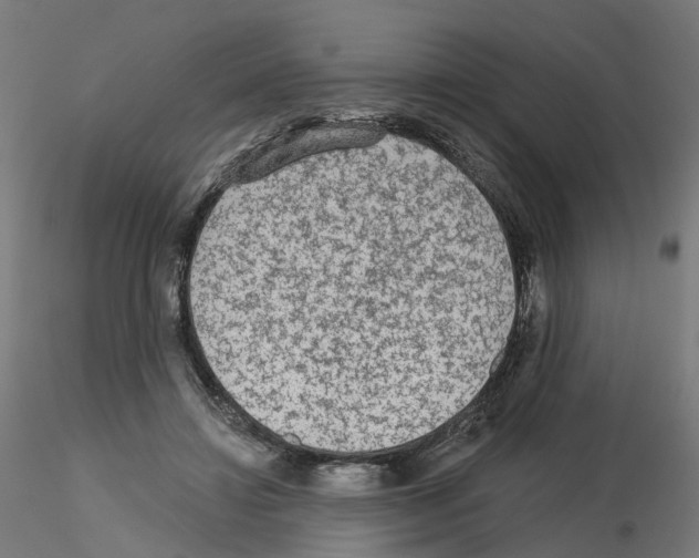 X0000115550452200912181557