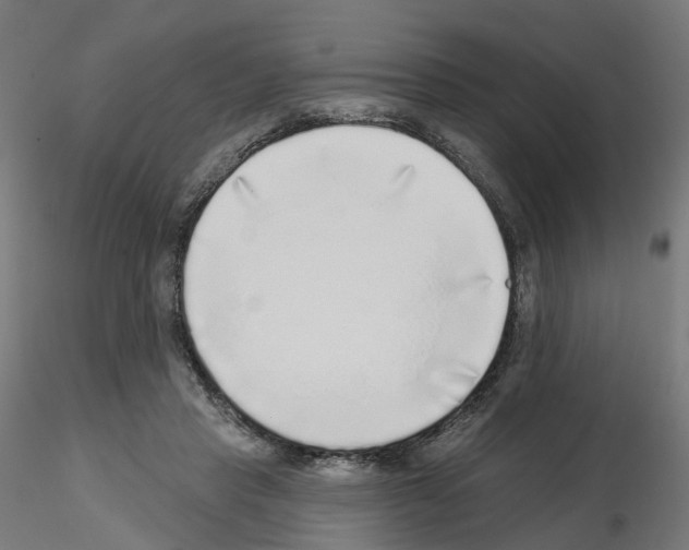 X0000115550453200912181557