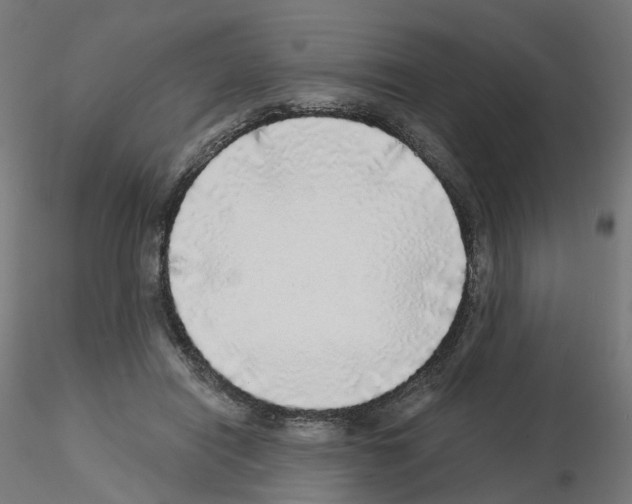 X0000115550454200912181557