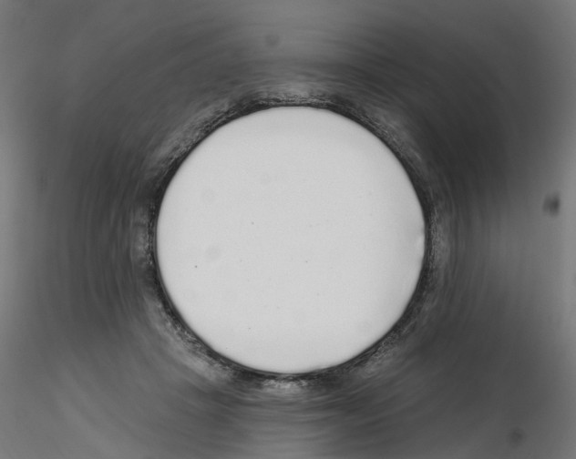 X0000115550457200912181557