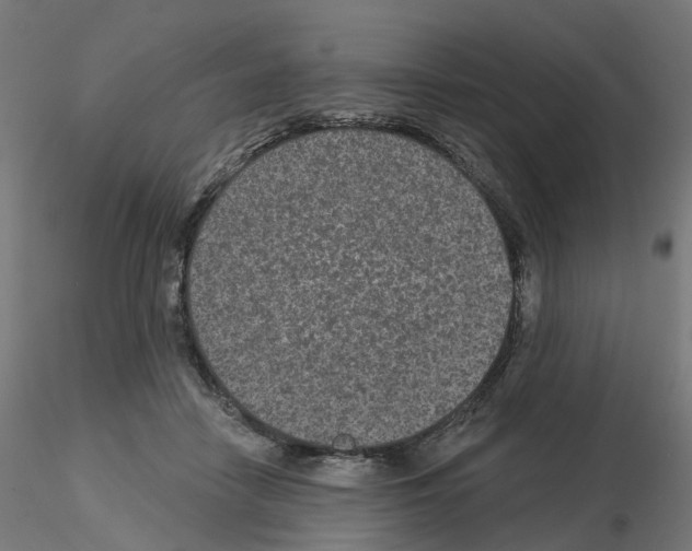 X0000115550458200912181557