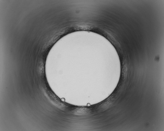 X0000115550459200912181557