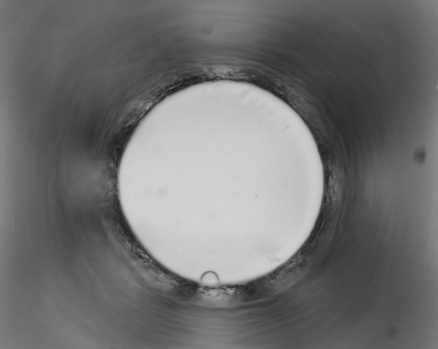 X0000115550461200912181557