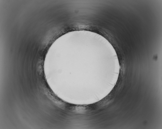 X0000115550462200912181557