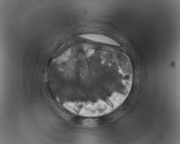 X0000115550465200912181557