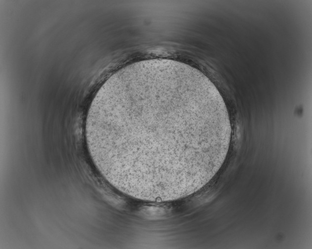 X0000115550466200912181557